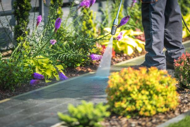 Best Sidewalk and Walkway Pressure Cleaning in Speedway, IN